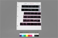 藏品(印樣A-28-31)的圖片